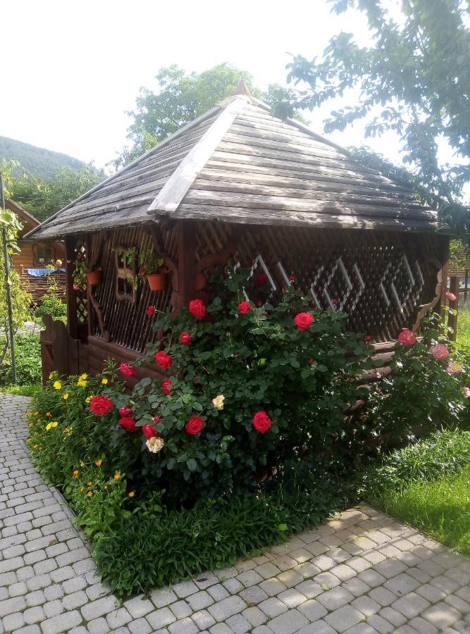 Sadyba u Pasichnika Yaremche Bagian luar foto